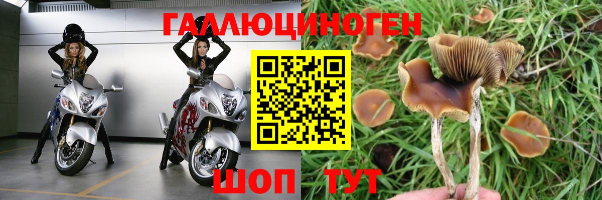 Псилоцибиновые грибы мухоморы Серпухов